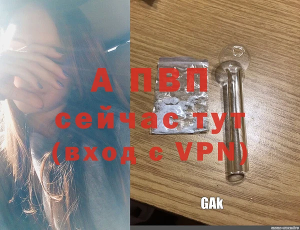 a pvp Пересвет