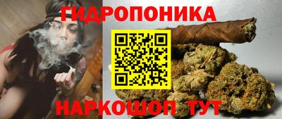 spice Донецк