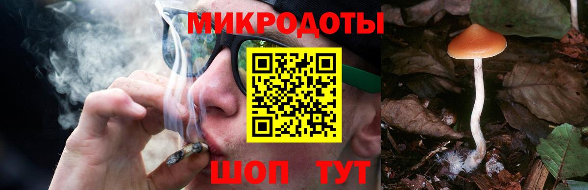 Галлюциногенные грибы Psilocybe  Вход с VPN  Ялуторовск 